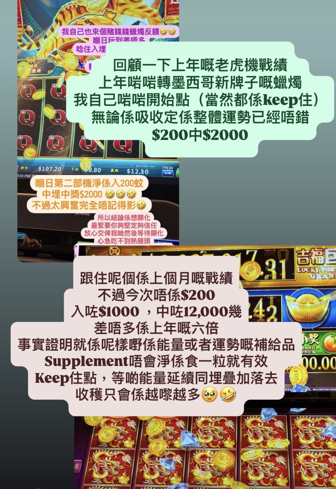 近期好評反饋